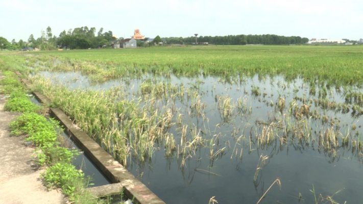 o_nhiem_moi_truong_tai_thon_phuong_la_xa_thai_phuo