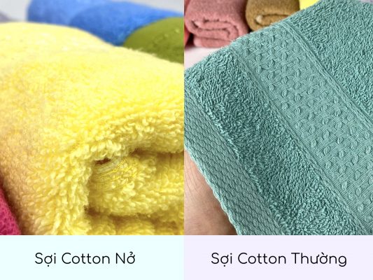 so sánh khăn bông Cotton nở với khăn cotton thường
