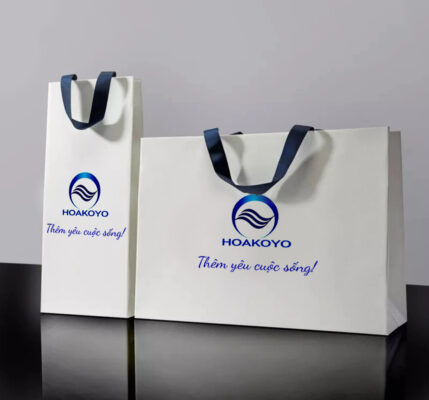 túi quà tặng đẹp in thương hiệu logo