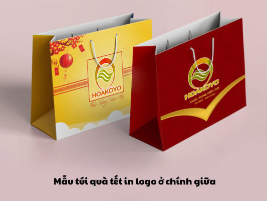 Mẫu túi quà tặng dịp tết đẹp cho khăn bông