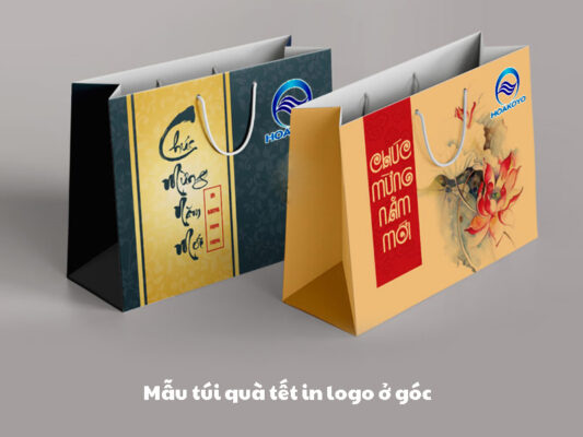 Mẫu túi quà tặng dịp tết đẹp cho khăn bông