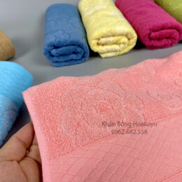 Gội đầu hoa hồng